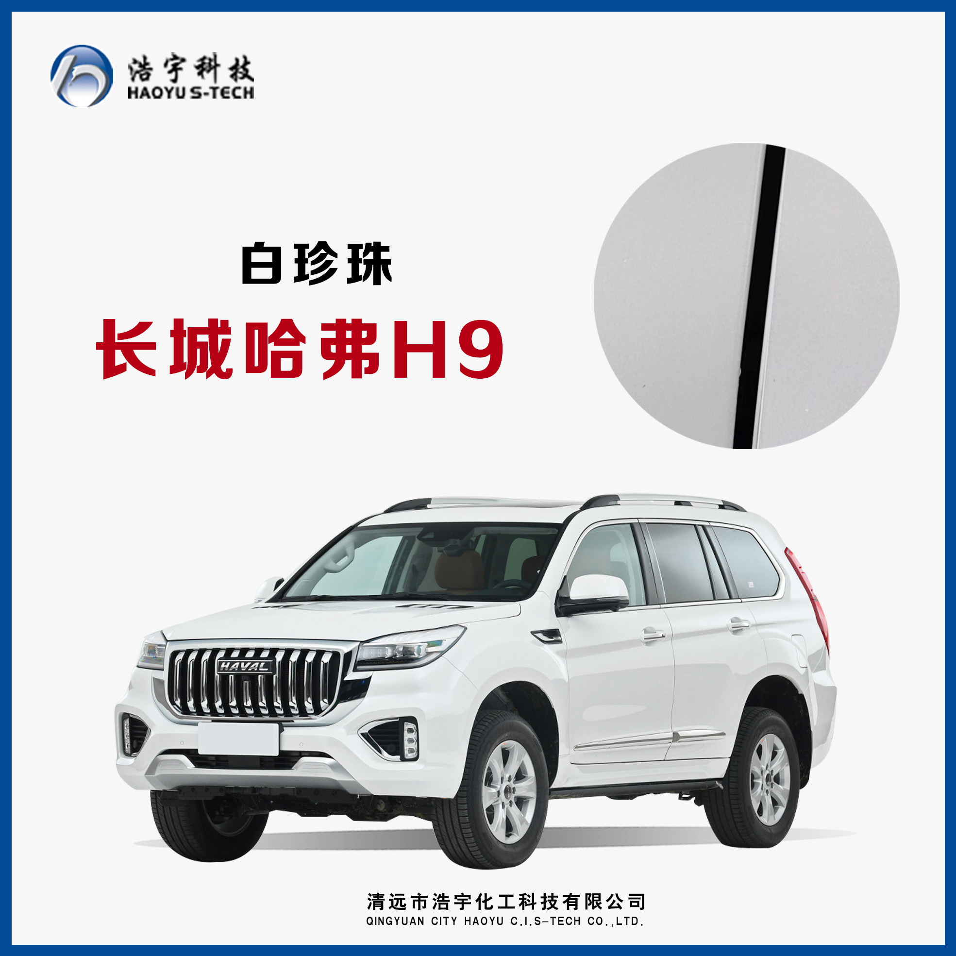 長(zhǎng)城汽車(chē)/哈弗H9/20款  漢密爾頓白